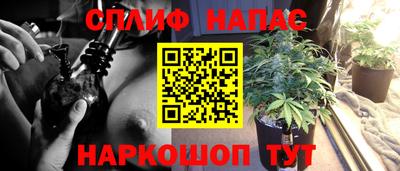 PSILOCYBIN Старая Купавна