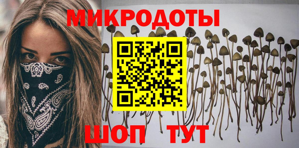 Галлюциногенные грибы прущие грибы  даркнет сайт  Галлюциногенные грибы MAGIC MUSHROOMS  Нижнекамск  Вход с VPN 